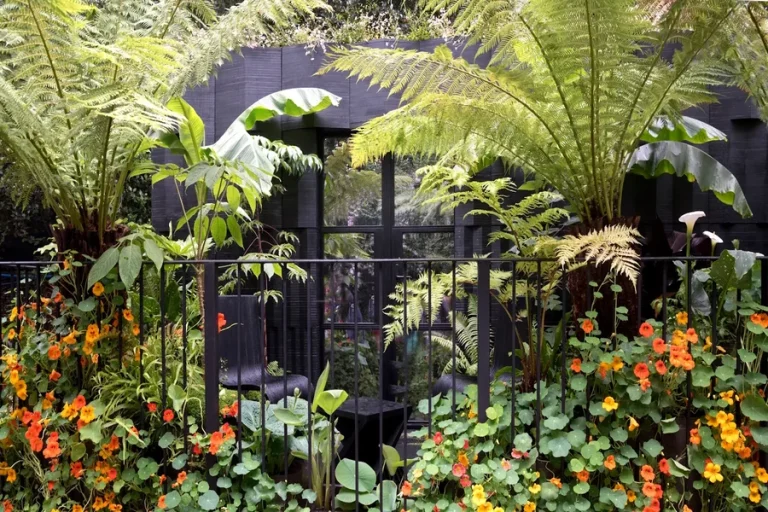 Garden Pots